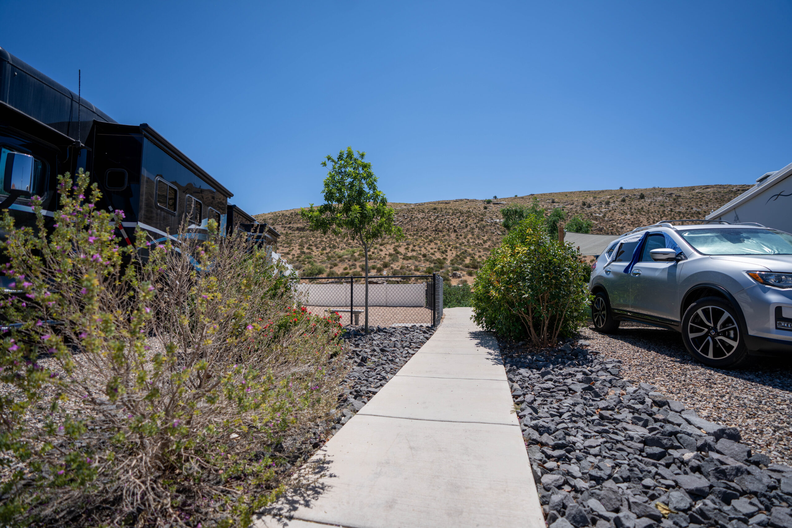 Image of dog park from behind